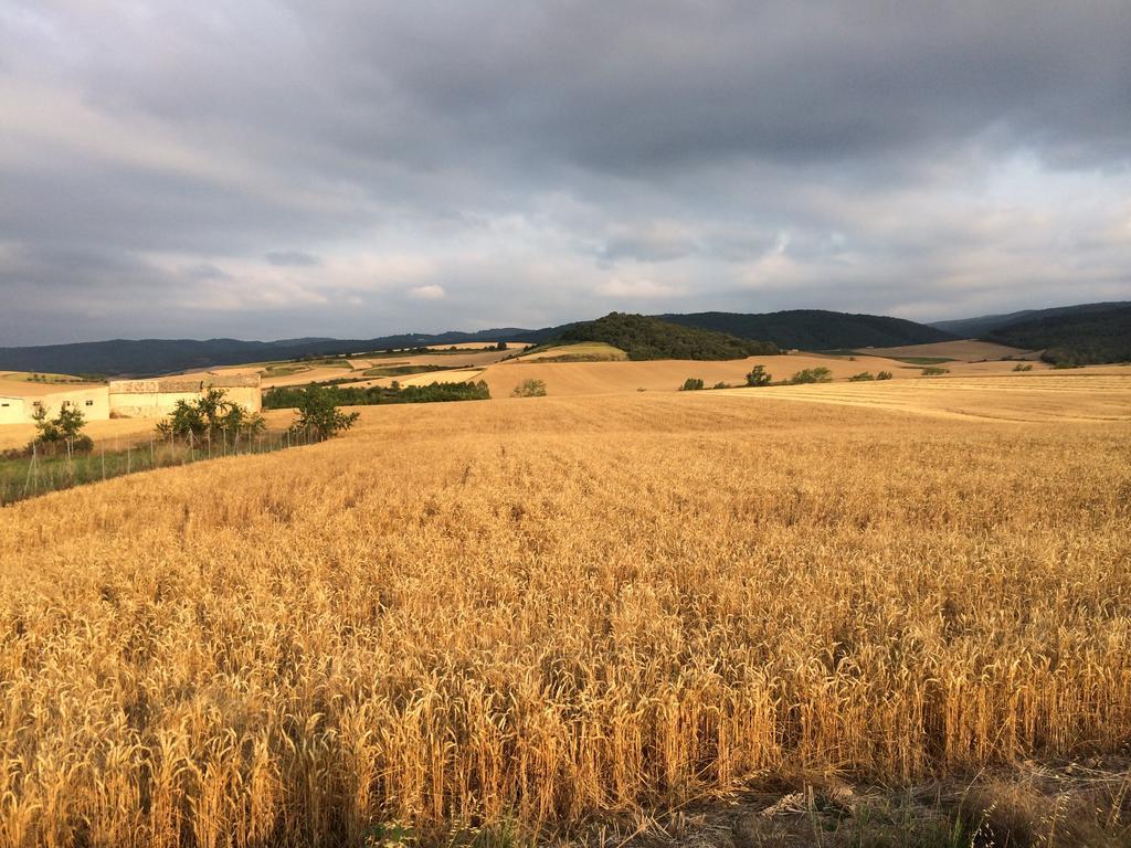 Mihotelito Viloria de Rioja Экстерьер фото
